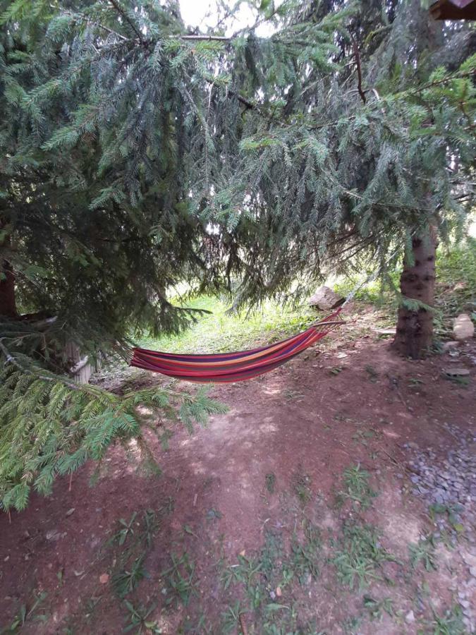 Yalivets Villa Orjavcsik Kültér fotó