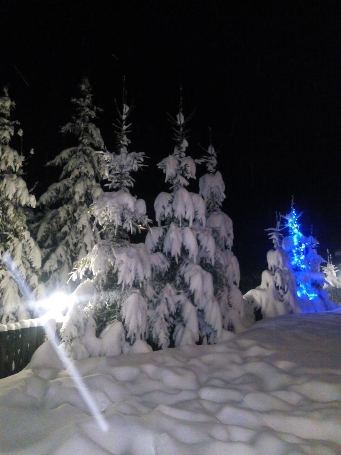 Yalivets Villa Orjavcsik Kültér fotó